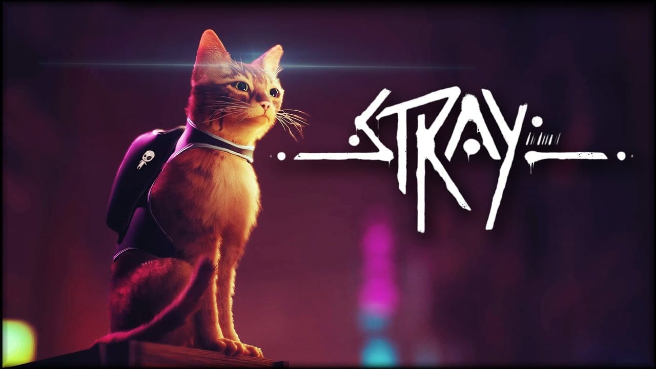 Stray