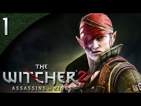 The Witcher 2 (alternate path)